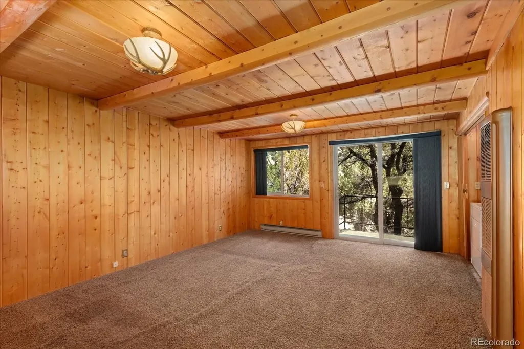 30320 County Road 371 Buena Vista CO 81211