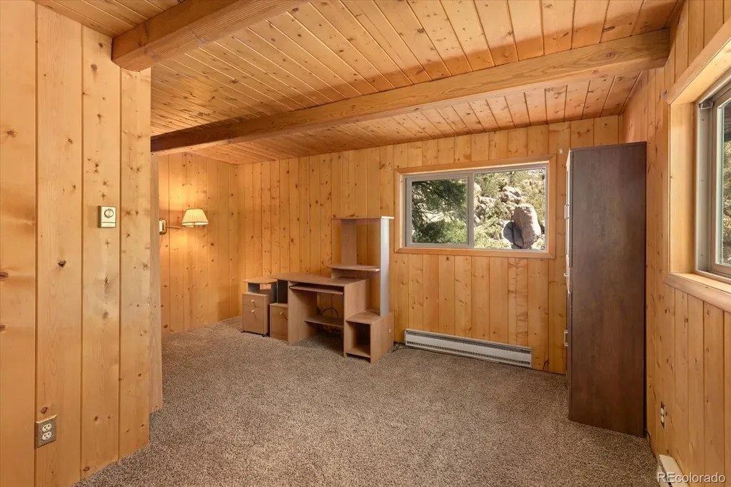 30320 County Road 371 Buena Vista CO 81211