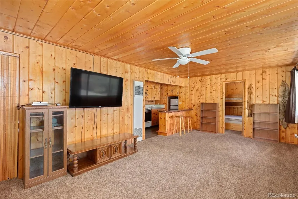 30320 County Road 371 Buena Vista CO 81211