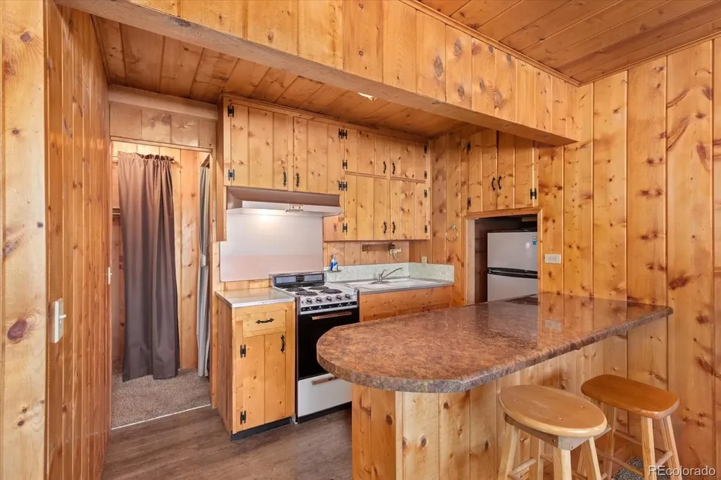 30320 County Road 371 Buena Vista CO 81211