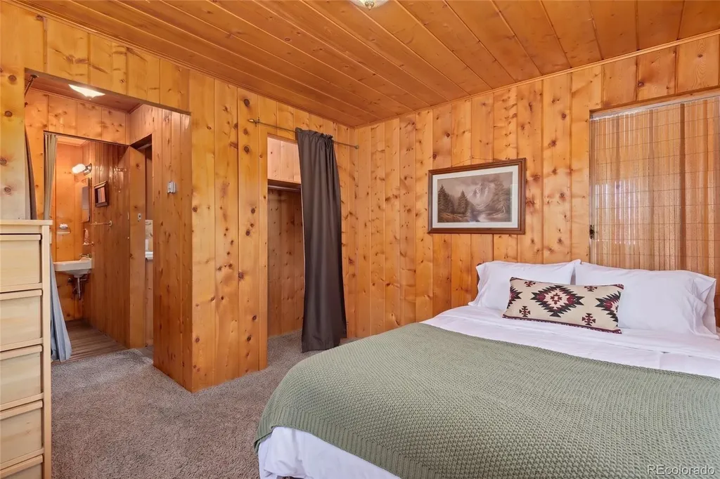 30320 County Road 371 Buena Vista CO 81211