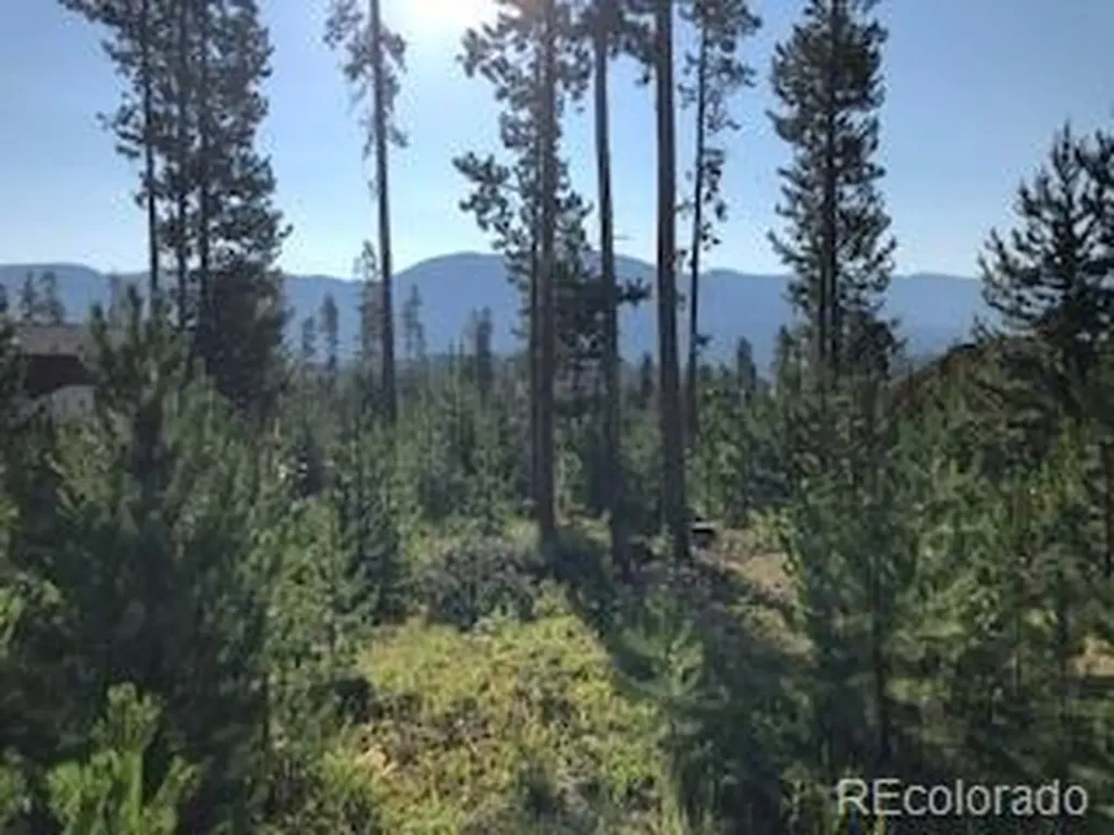 242 GCR 4571 Grand Lake CO 80447