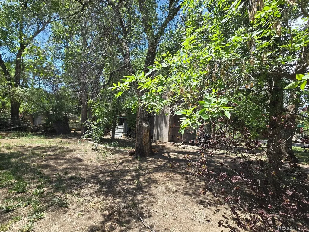 339 17th Avenue Longmont CO 80501