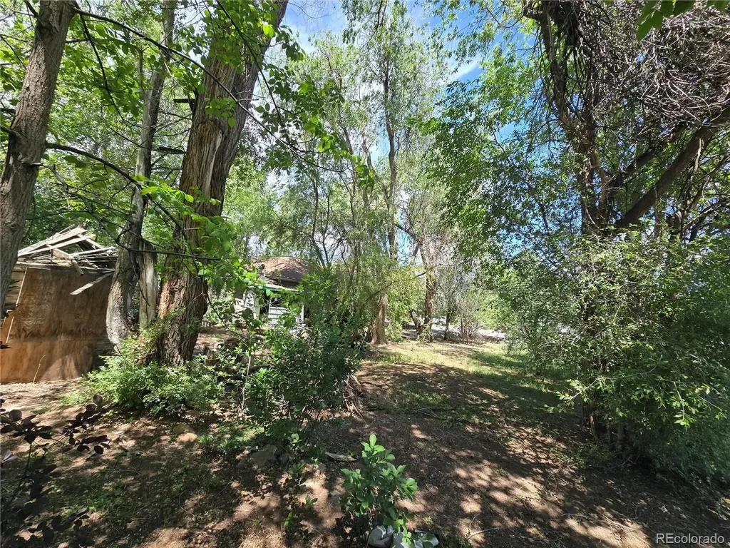 339 17th Avenue Longmont CO 80501
