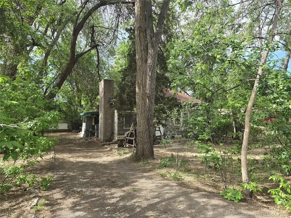 339 17th Avenue Longmont CO 80501