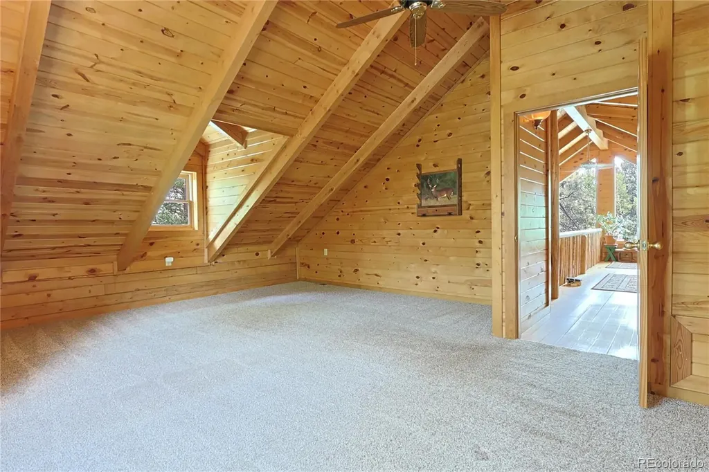5527 County Road 5 Road Divide CO 80814