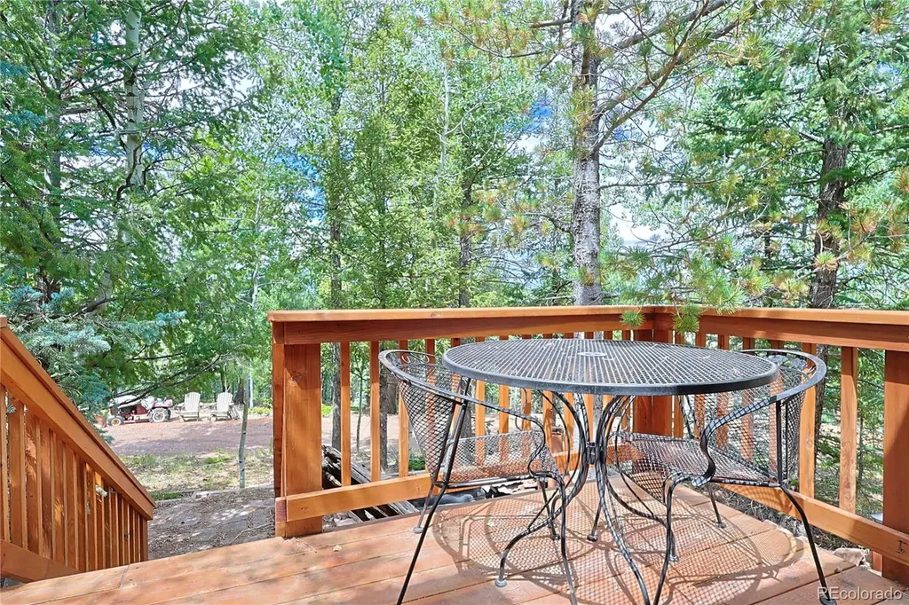 5527 County Road 5 Road Divide CO 80814