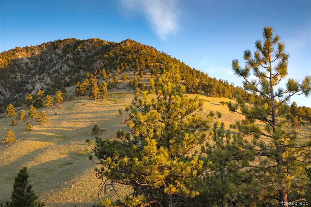 1 N Ridgway Road Arvada CO 80403