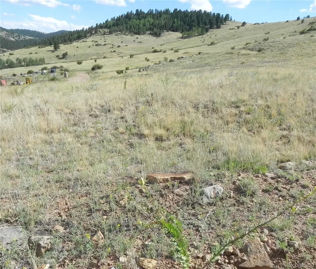 Lot 1-2 Colorado Avenue Cripple Creek CO 80813