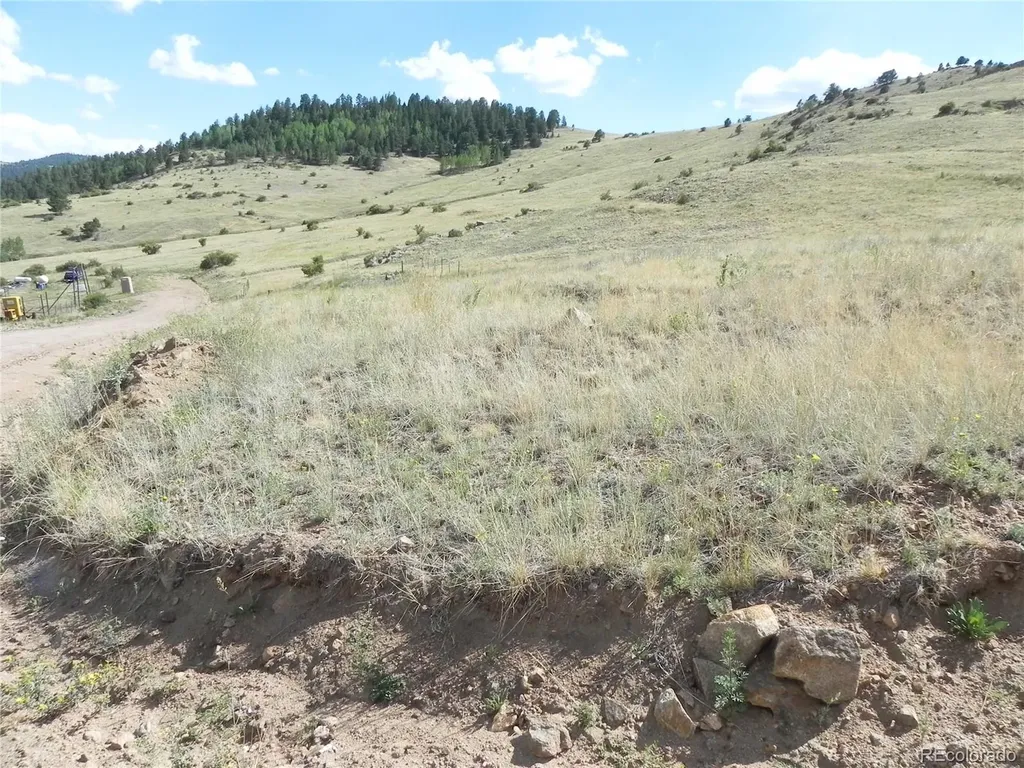 Lot 1-2 Colorado Avenue Cripple Creek CO 80813