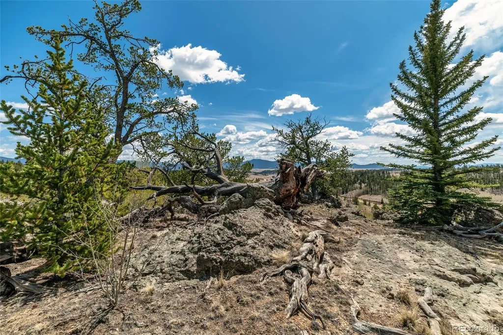 360 Musket Lane Como CO 80432