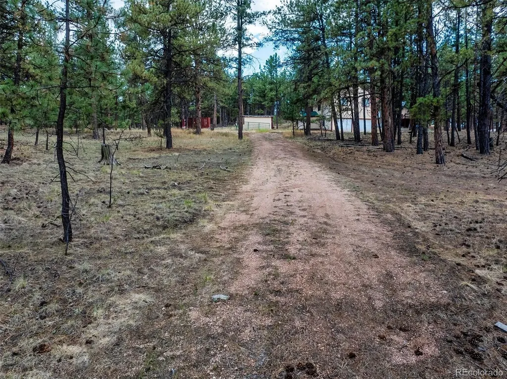 41 & 73 Ingels Drive Florissant CO 80816