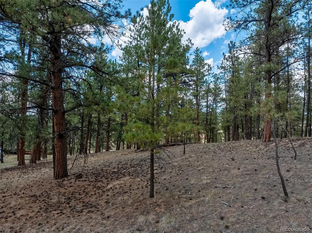 41 & 73 Ingels Drive Florissant CO 80816