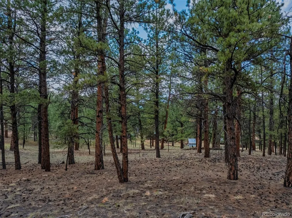 41 & 73 Ingels Drive Florissant CO 80816