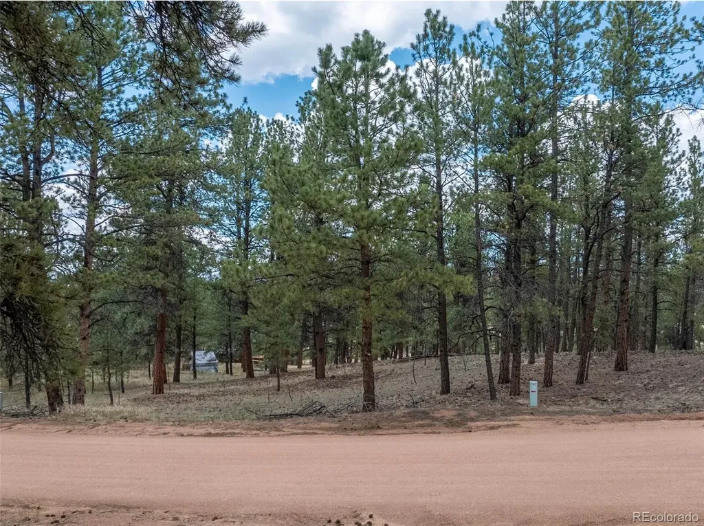 41 & 73 Ingels Drive Florissant CO 80816