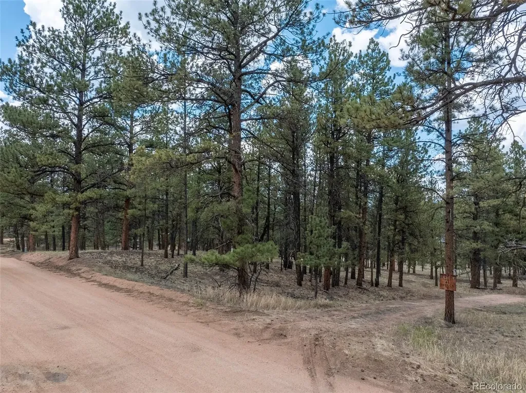 41 & 73 Ingels Drive Florissant CO 80816