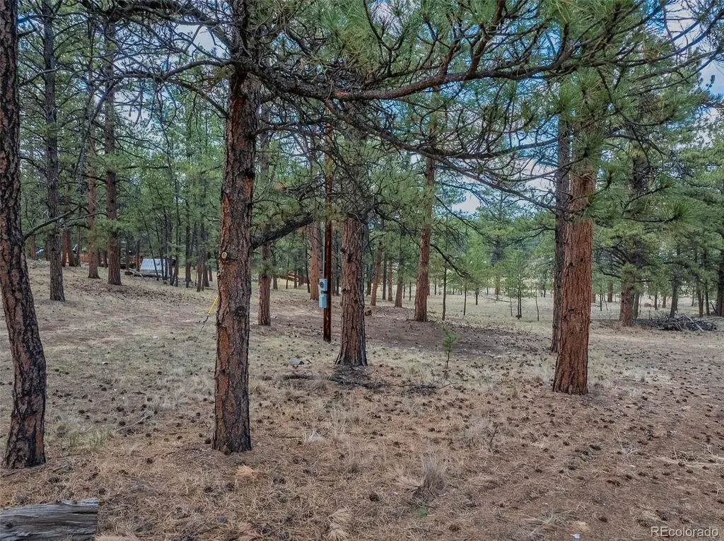 41 & 73 Ingels Drive Florissant CO 80816