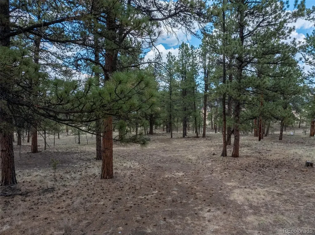 41 & 73 Ingels Drive Florissant CO 80816