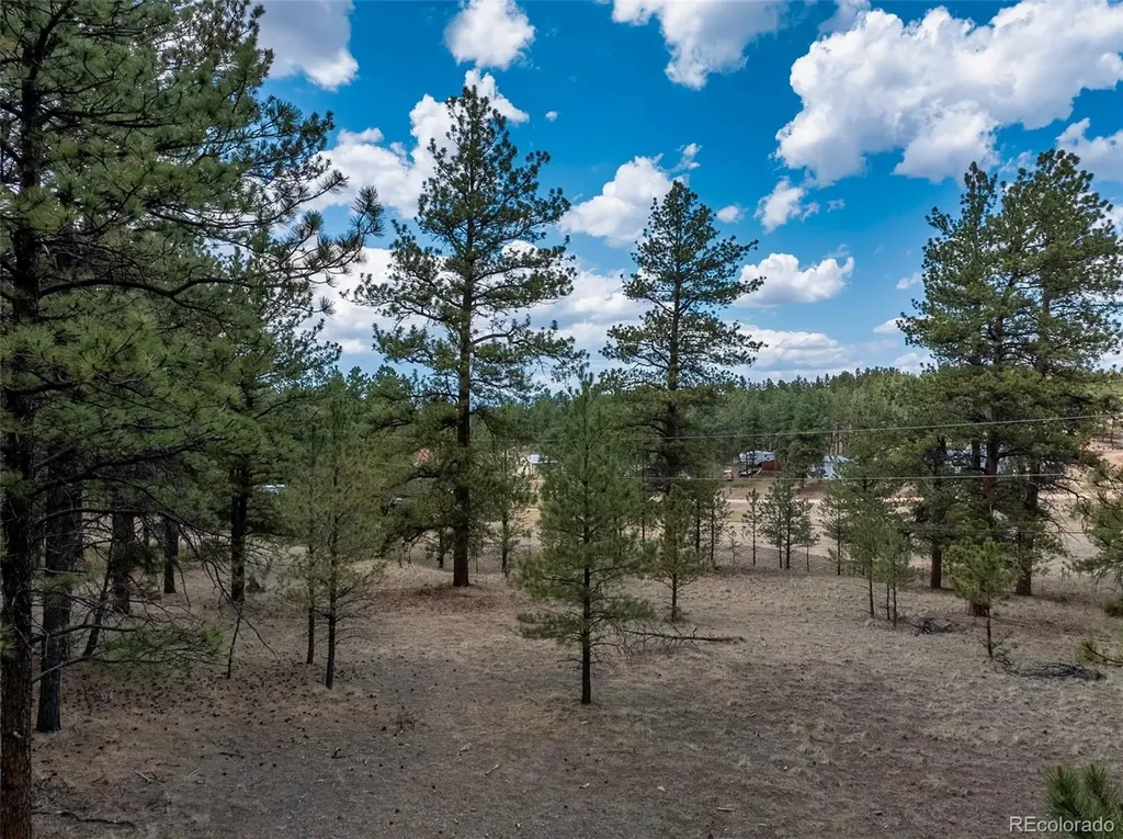 41 & 73 Ingels Drive Florissant CO 80816