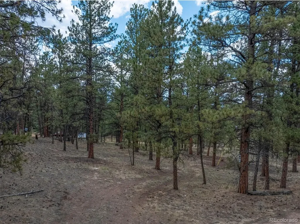 41 & 73 Ingels Drive Florissant CO 80816