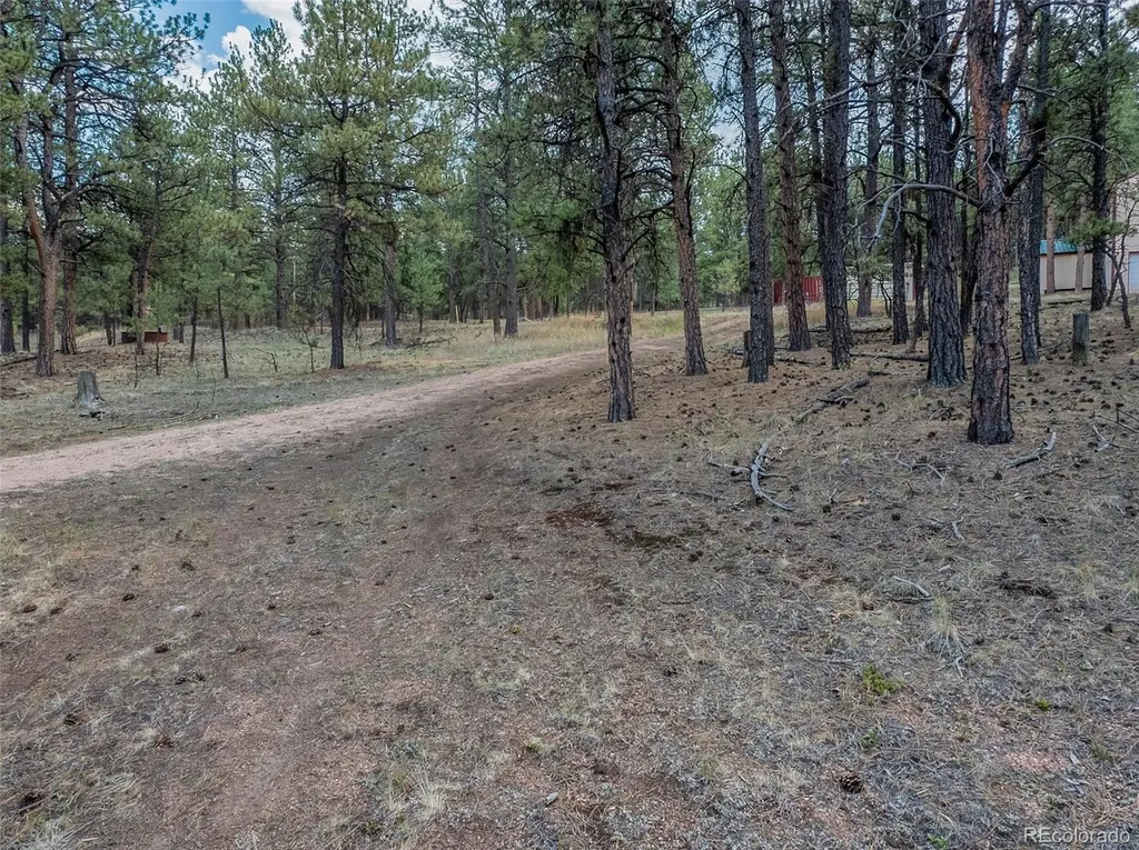 41 & 73 Ingels Drive Florissant CO 80816