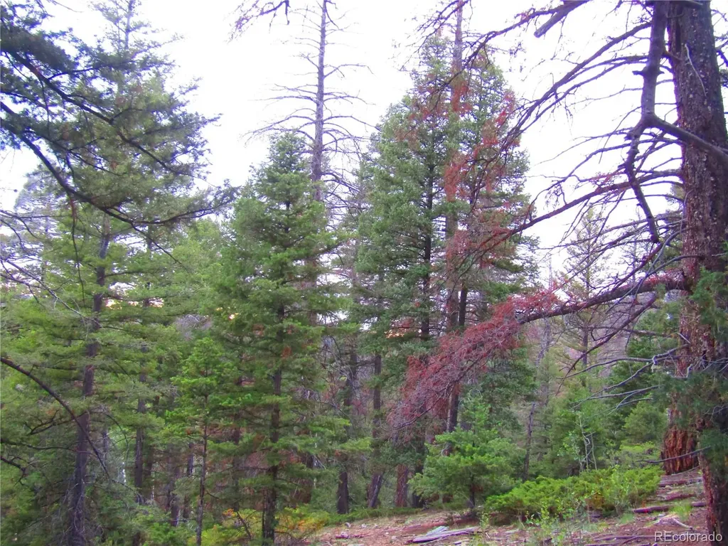 Lot 6447 Shoshita Road San Luis CO 81152
