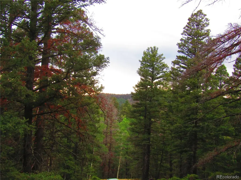 Lot 6447 Shoshita Road San Luis CO 81152