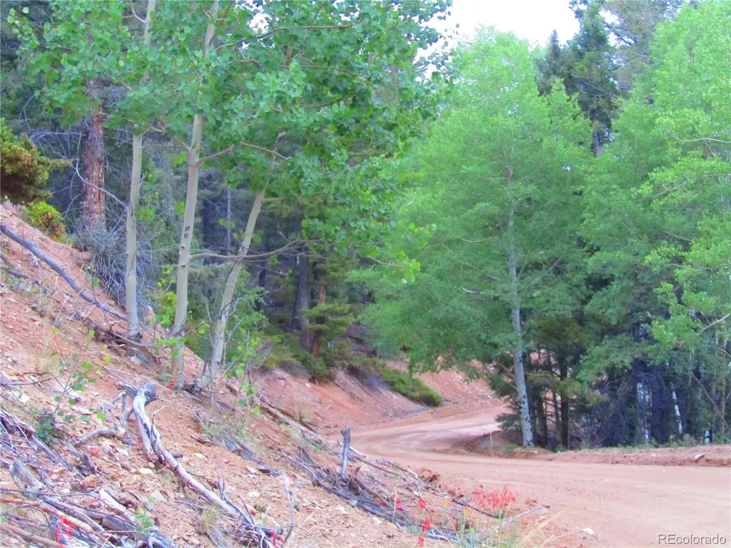 Lot 6447 Shoshita Road San Luis CO 81152