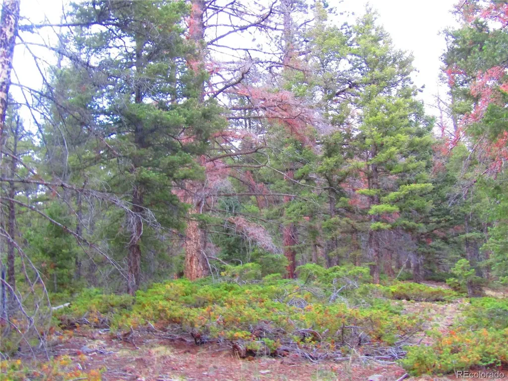 Lot 6447 Shoshita Road San Luis CO 81152
