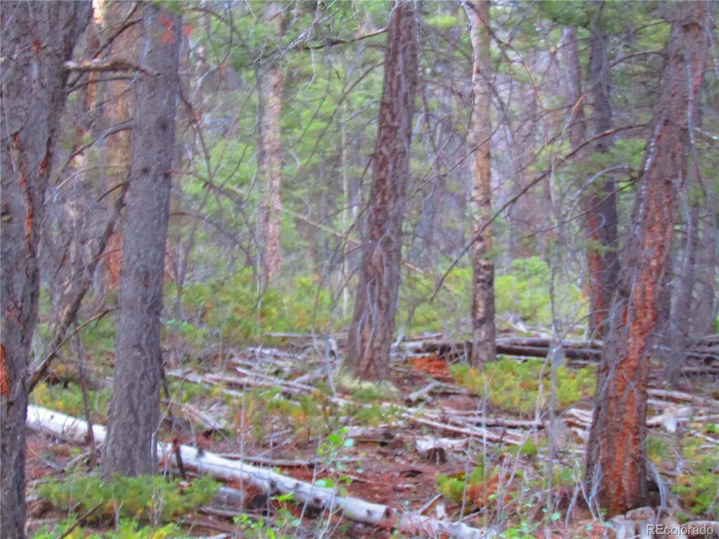 Lot 6447 Shoshita Road San Luis CO 81152
