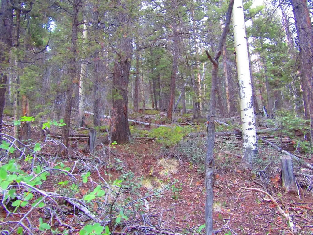 Lot 6447 Shoshita Road San Luis CO 81152