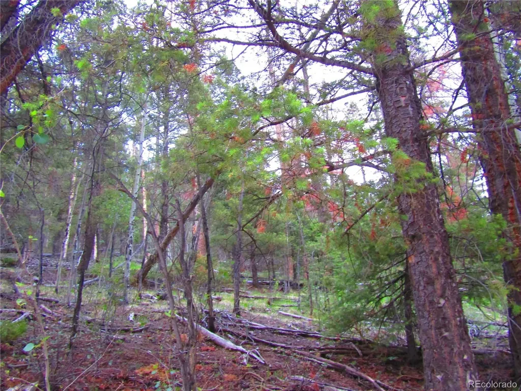 Lot 6447 Shoshita Road San Luis CO 81152