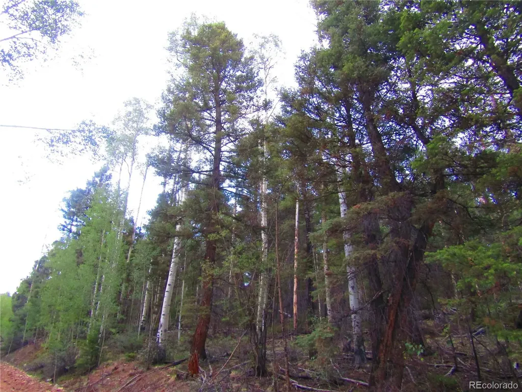 Lot 6447 Shoshita Road San Luis CO 81152