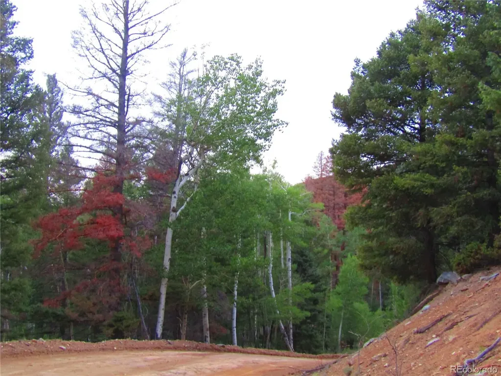 Lot 6447 Shoshita Road San Luis CO 81152