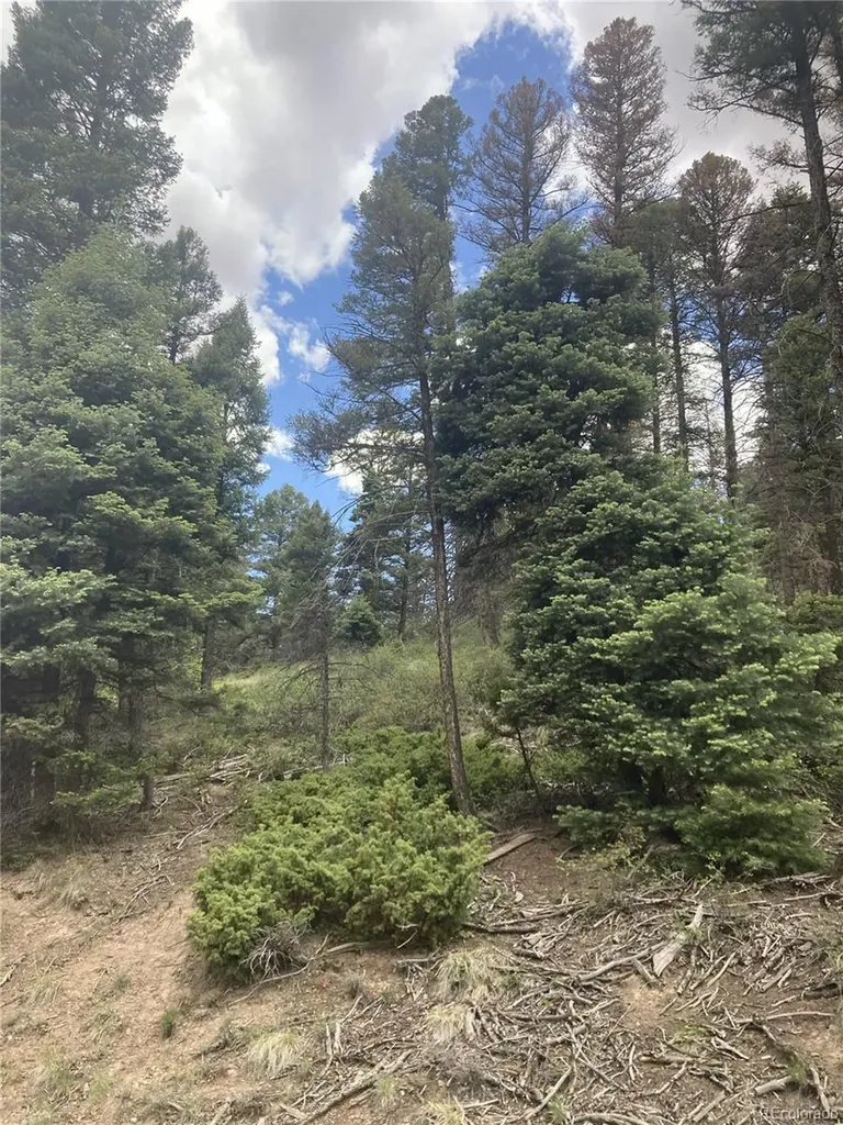 Lot 6447 Shoshita Road San Luis CO 81152