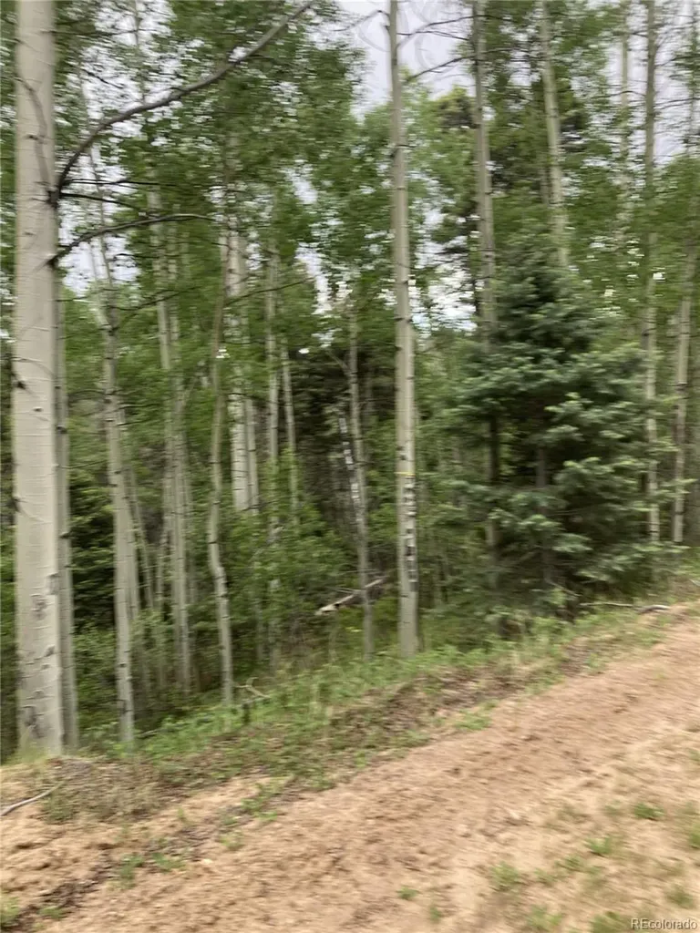 Lot 6447 Shoshita Road San Luis CO 81152