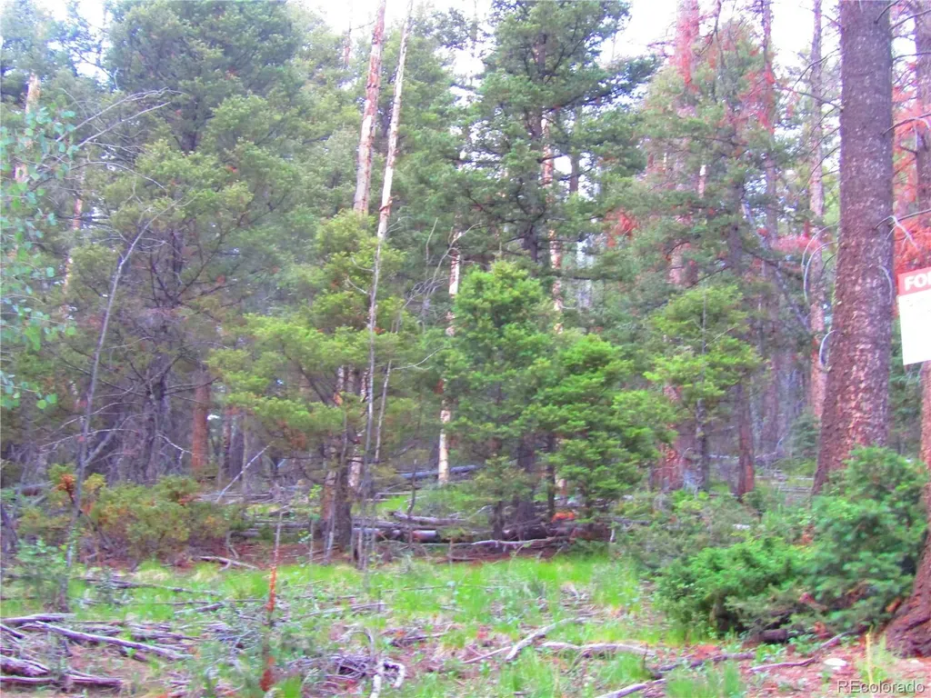 Lot 6447 Shoshita Road San Luis CO 81152