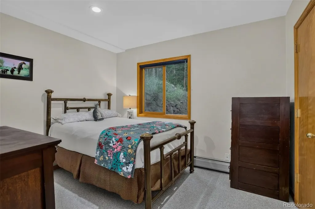 9388 Yegge Road Morrison CO 80465