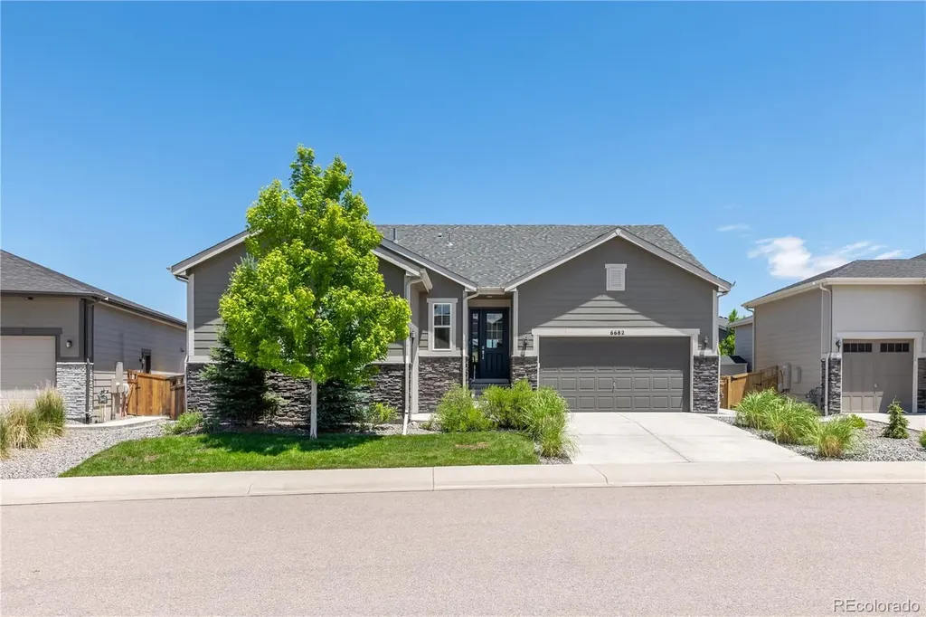 6682 Angelique Avenue Castle Rock CO 80108