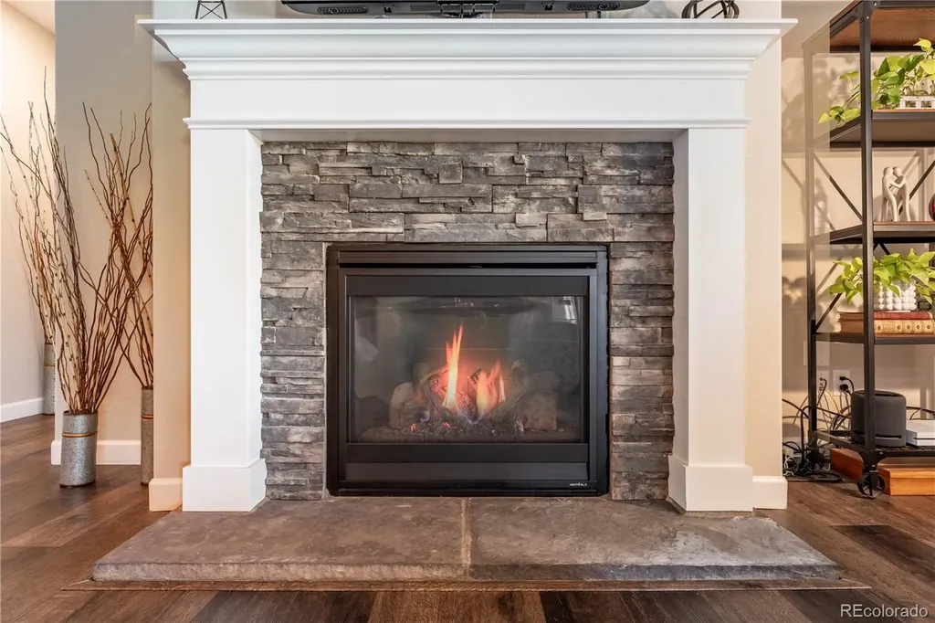 6682 Angelique Avenue Castle Rock CO 80108