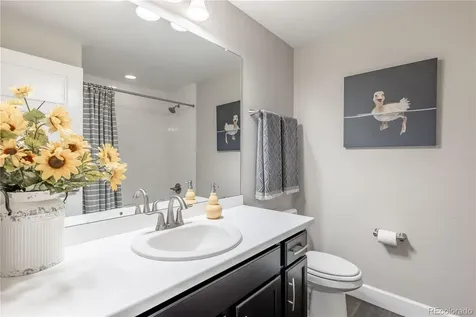 6682 Angelique Avenue Castle Rock CO 80108