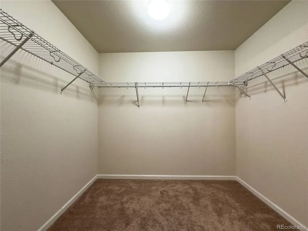 1578 Sepia Avenue Longmont CO 80501