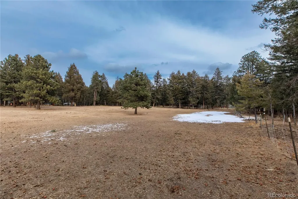 8830 Blue Creek Road Evergreen CO 80439