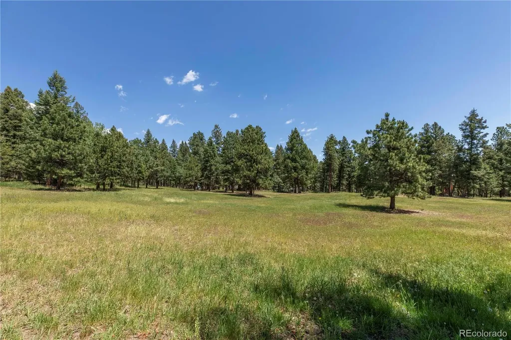 8830 Blue Creek Road Evergreen CO 80439