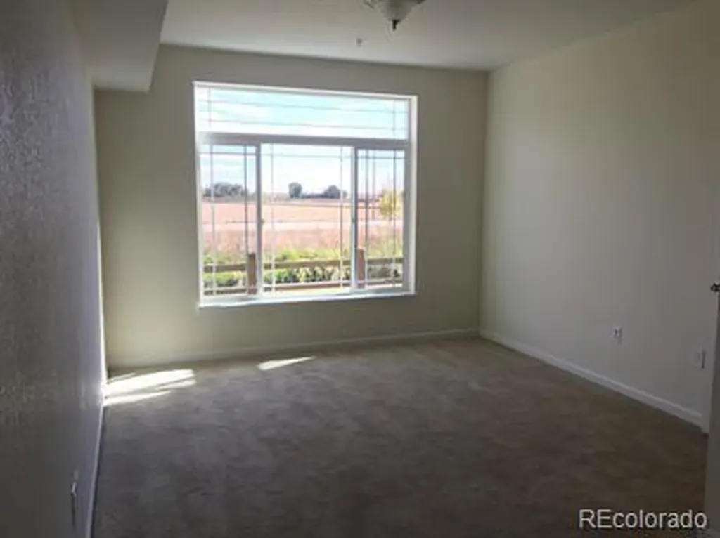 804 Summer Hawk Drive Longmont CO 80504
