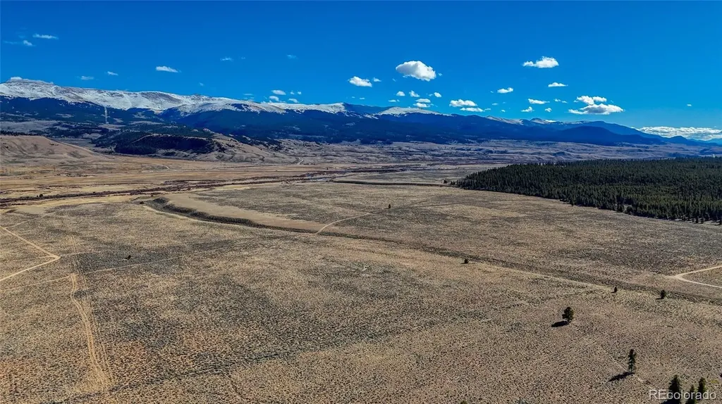 15 County Road 10 Leadville CO 80461