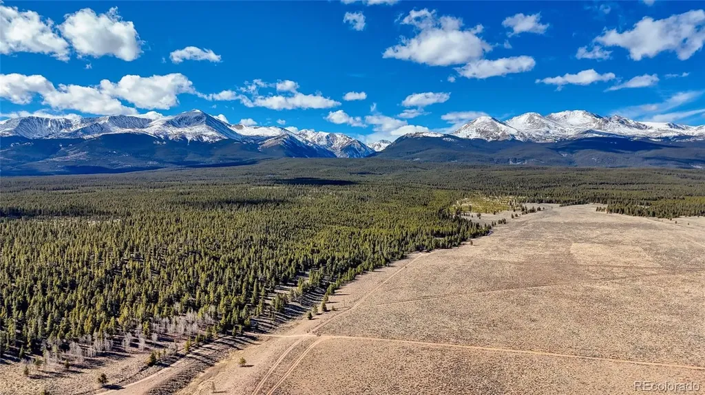 15 County Road 10 Leadville CO 80461