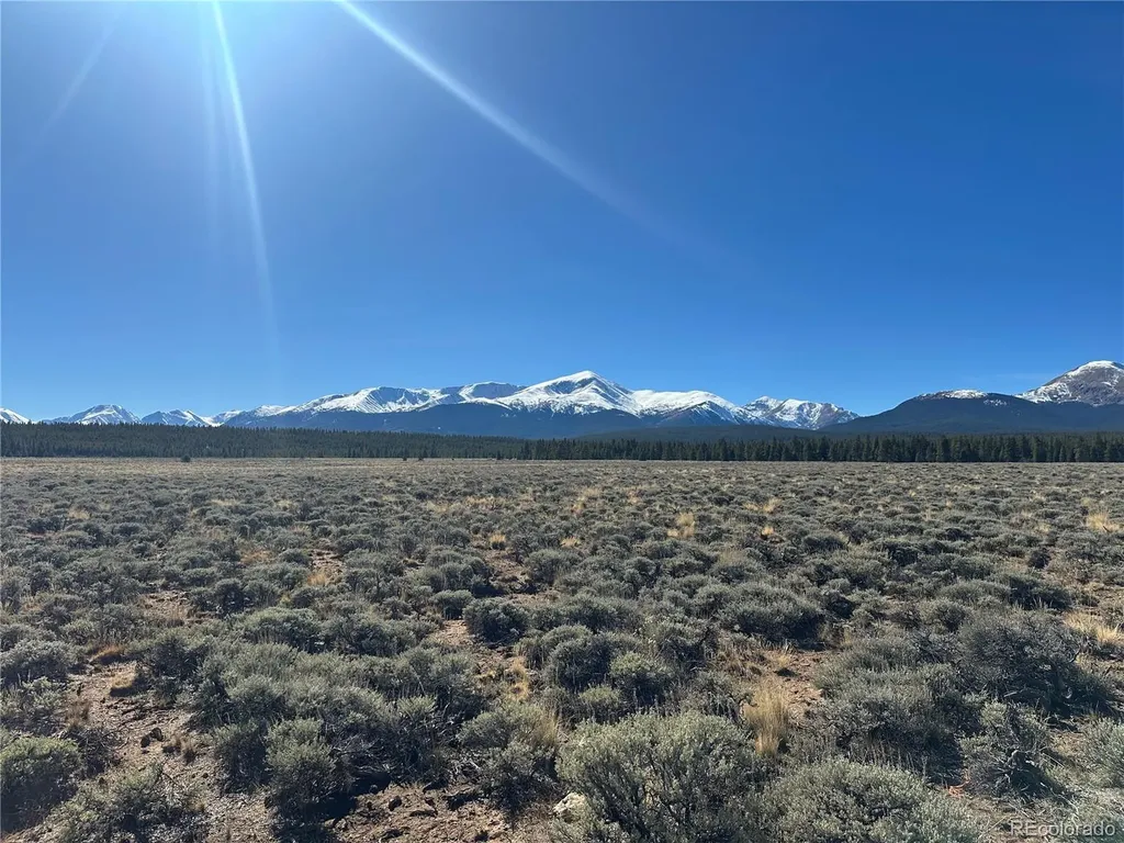 15 County Road 10 Leadville CO 80461
