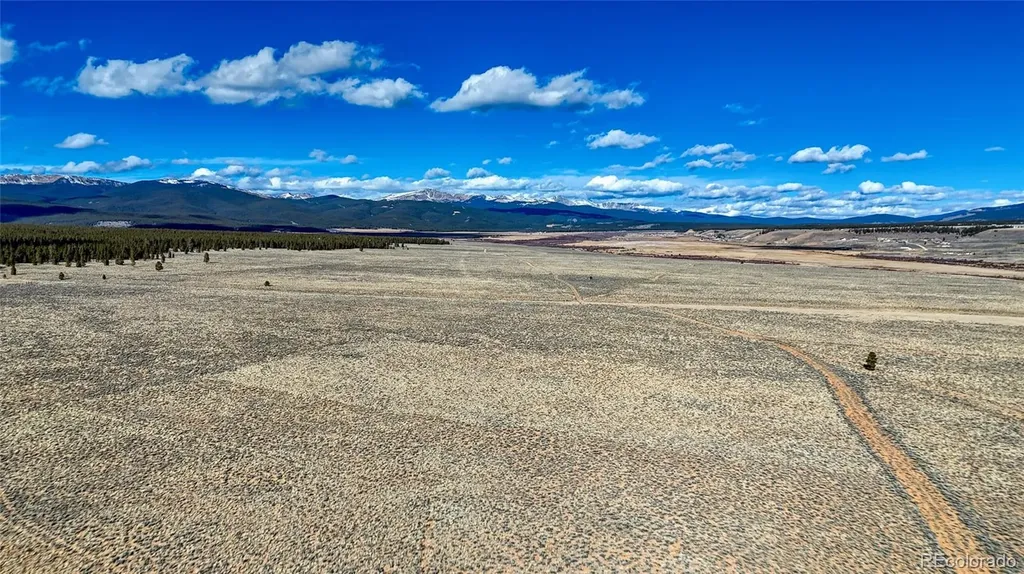 15 County Road 10 Leadville CO 80461