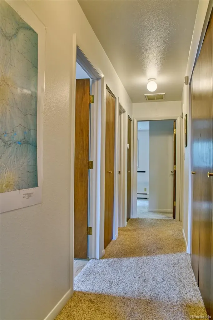 710 Plachy Drive Alamosa CO 81101